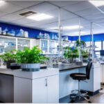 شیشه؛ مواد اولیه، شیوه تولید و انواع آن